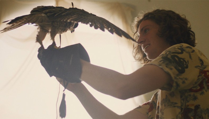 Exclusive: The Falconer Trailer Previews Coming-of-Age Adventure Drama