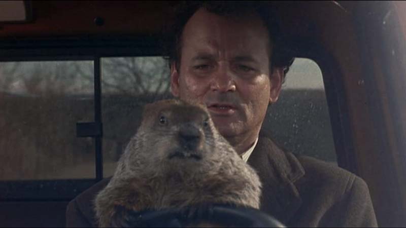 Iconic Roles: Bill Murray's Four Best Performances
