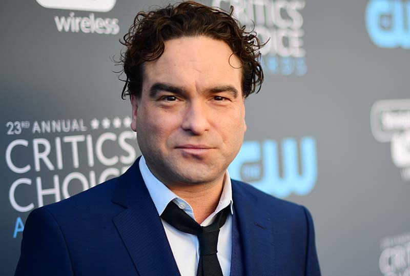 Johnny Galecki Developing '90s Workplace Comedy for CBS