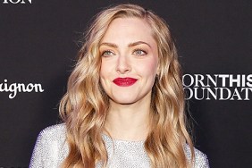 Amanda Seyfried Joins Tom Holland in Apple's The Crowded Room Series