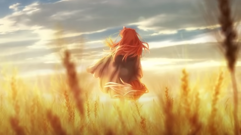 Spice & Wolf Anime Series Greenlit