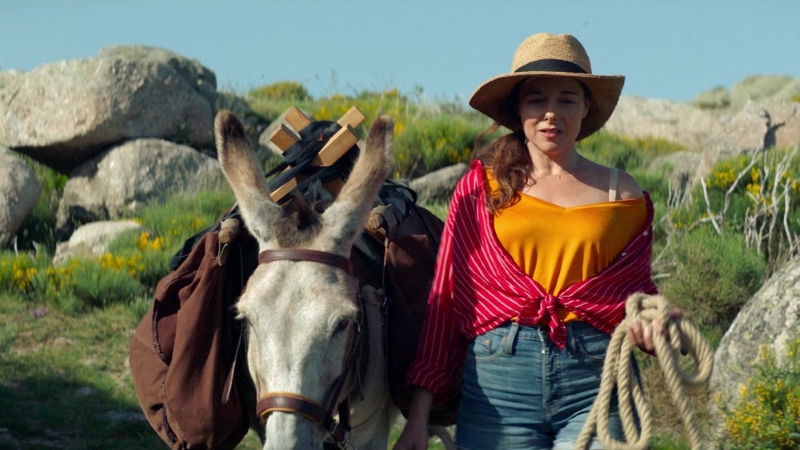 French Comedy My Donkey, My Lover, & I Gets U.S. Release