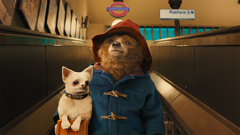 Paddington 3 Nabs Director and Official Title