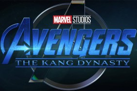 Avengers: The Kang Dynasty Has Found its Director
