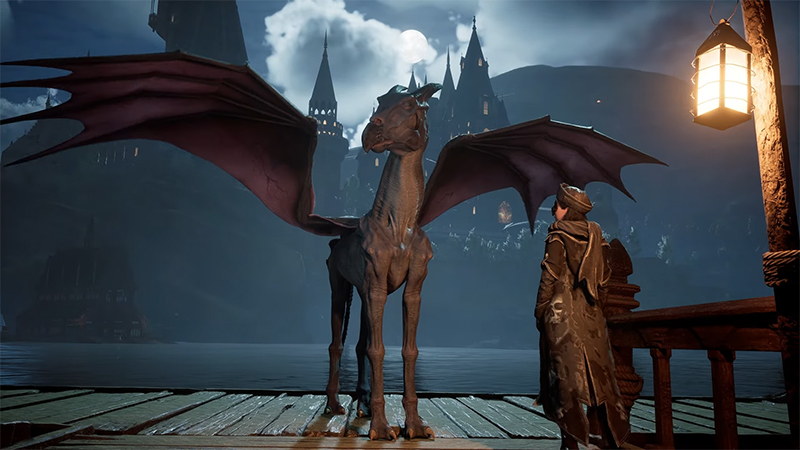 Hogwarts Legacy Collector's Edition Unboxing Reveals Expensive, Magical Items