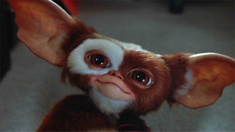 gizmo multiversus