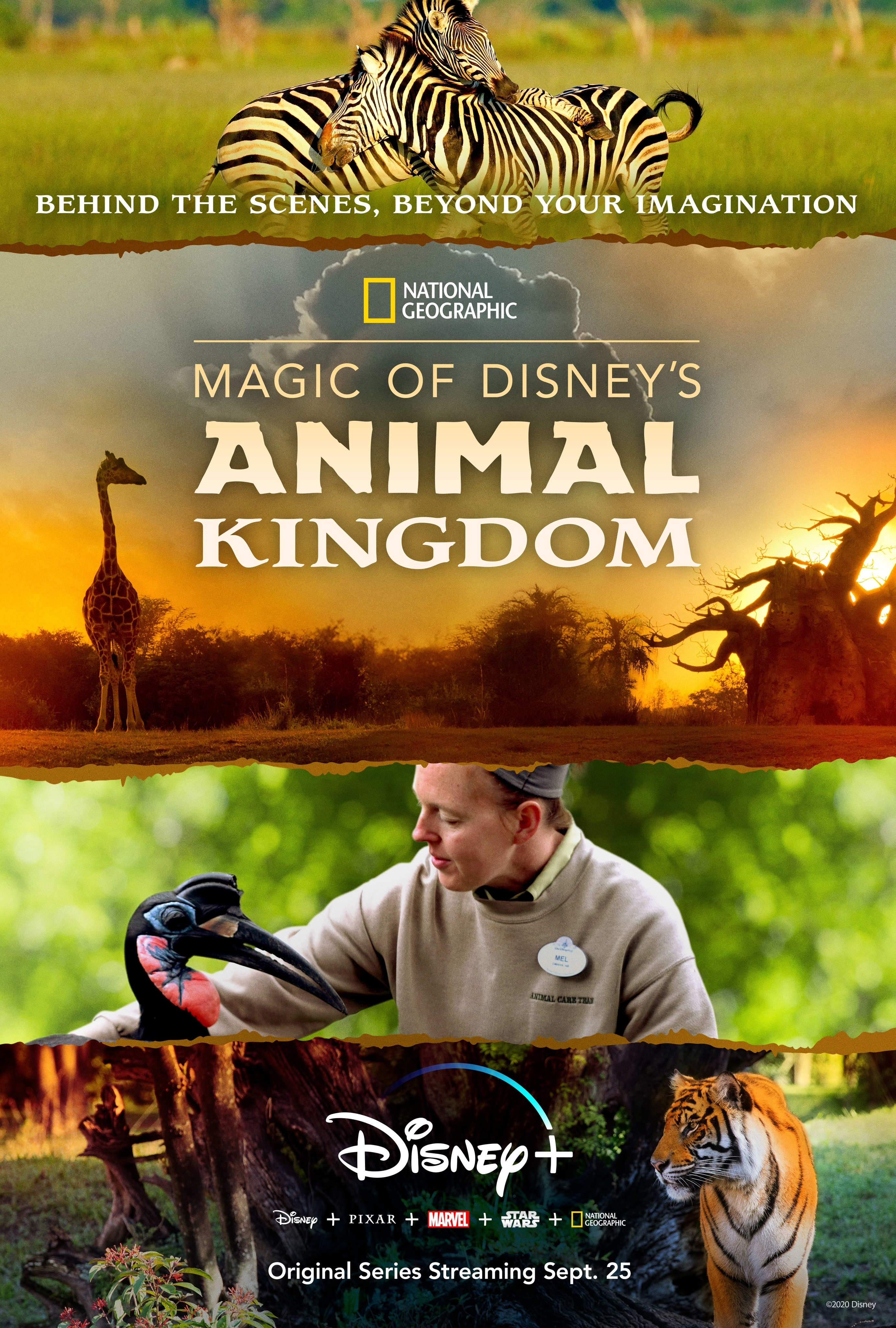 Magic of Disney's Animal Kingdom on Disney+
