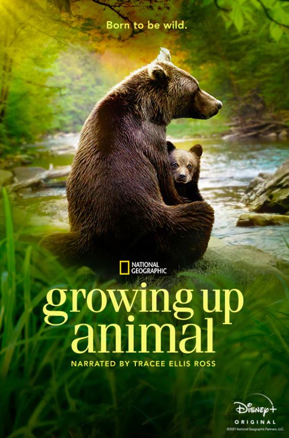 Growing Up Animal on Disney+
