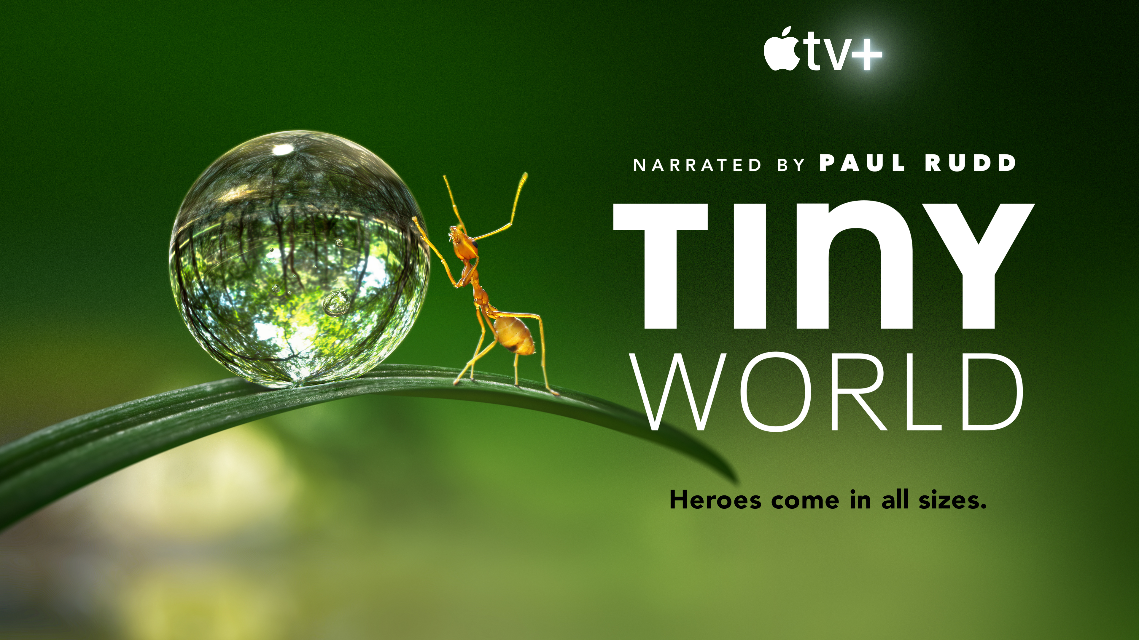 Tiny World on Apple TV+
