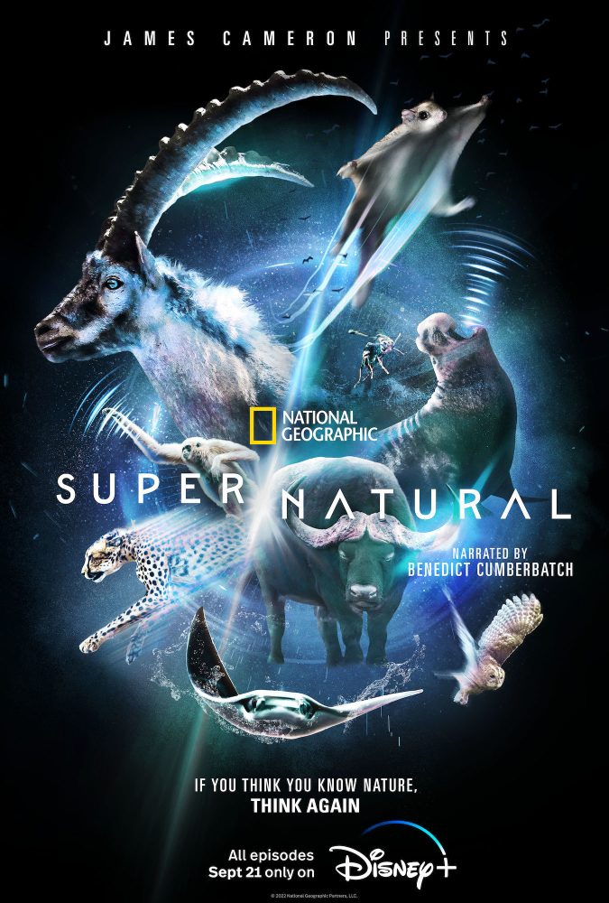 Super/Natural on Disney+