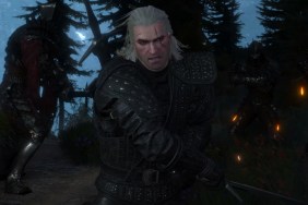 The Witcher 3 Stream Details Tons of New Features in Upcoming Update