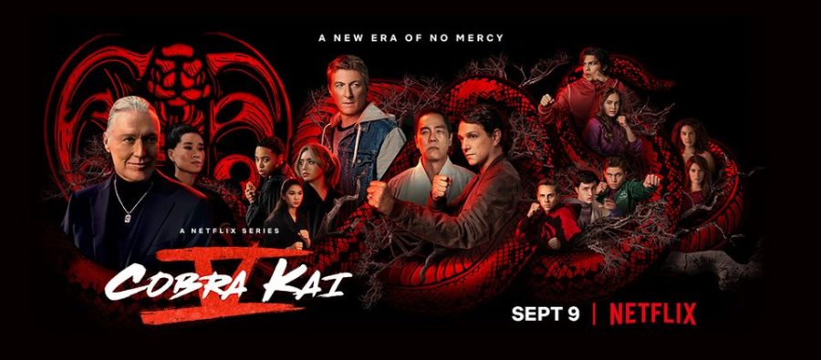 Cobra Kai Season 5 on Netflix