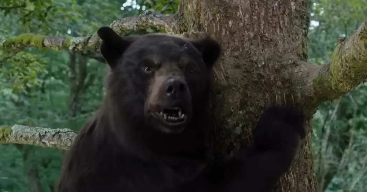 Cocaine Bear Featurette Teases Horror Comedy Movie’s Bizarre Premise