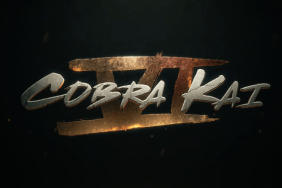 cobra kai season 6 teaser trailer