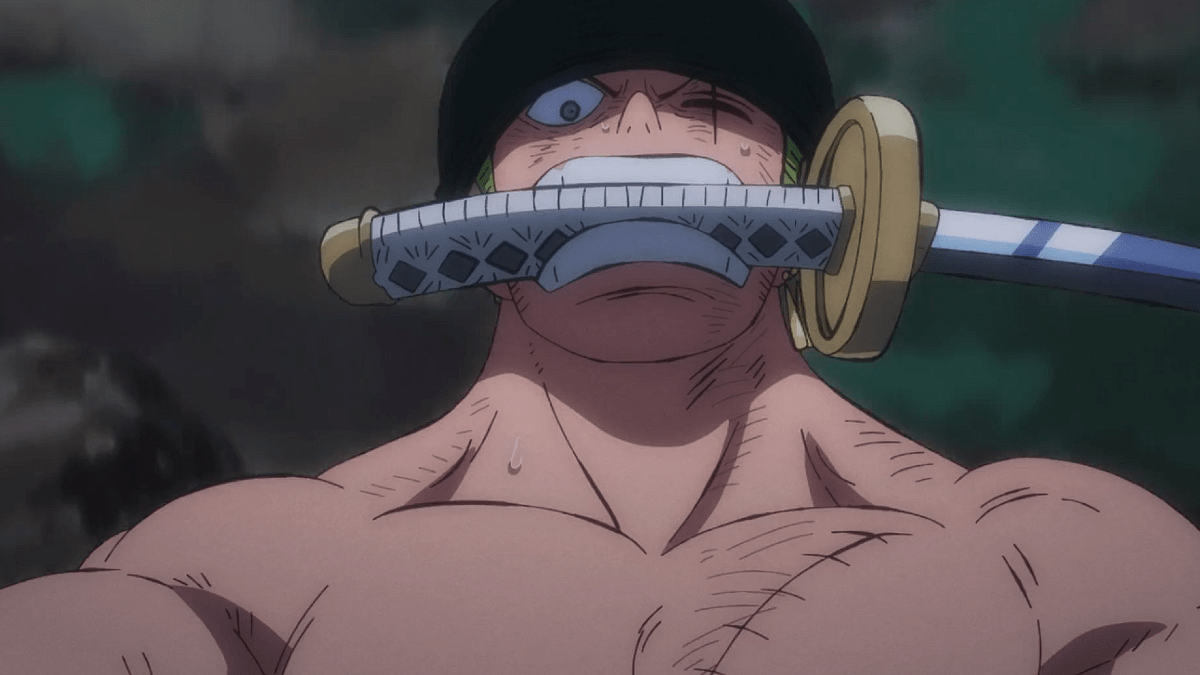 One Piece Season 14 Voyage 2 English Dub Gets Release Date