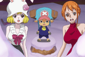 One Piece Season 13 Voyage 1 Blu-ray & DVD Release Date