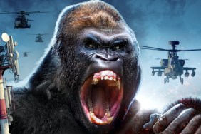 Mega Ape Poster