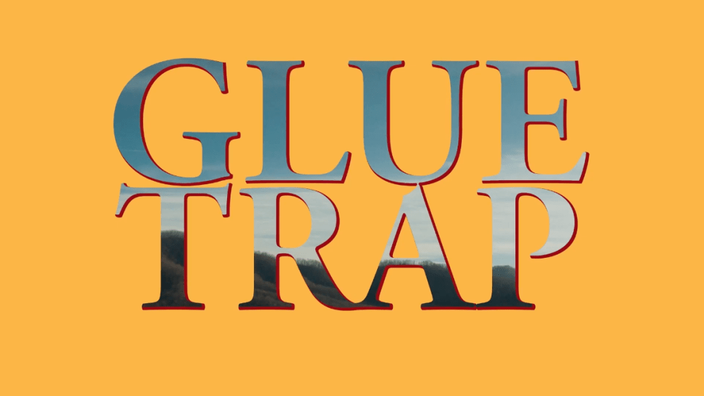 glue trap