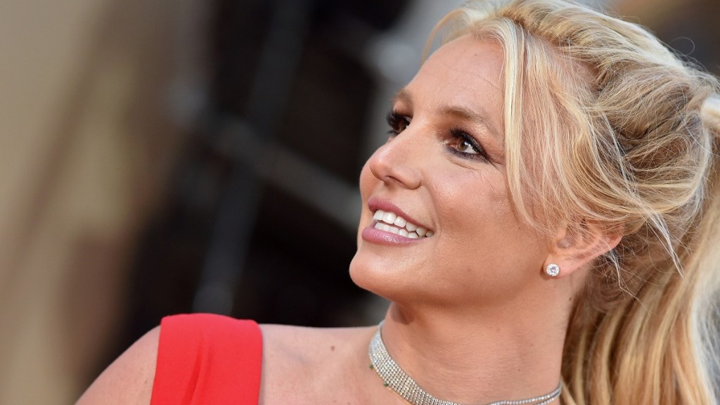 Britney Spears Slapped by NBA Player's Security