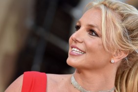 Britney Spears Slapped by NBA Player's Security