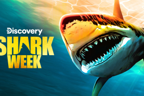 Shark Week 2023 Premiere Delivers Highest Rating in 3 Years