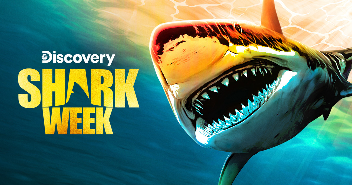 Shark Week 2023 Premiere Delivers Highest Rating in 3 Years Crumpe
