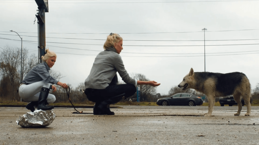 Exclusive For the Animals Clip Previews Dog Rescue Documentary
