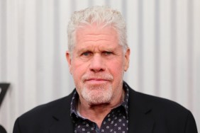 Ron Perlman Blasts Studio Executive Over Writers Strike Comments