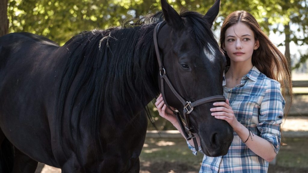 Black Beauty Where to Watch and Stream Online