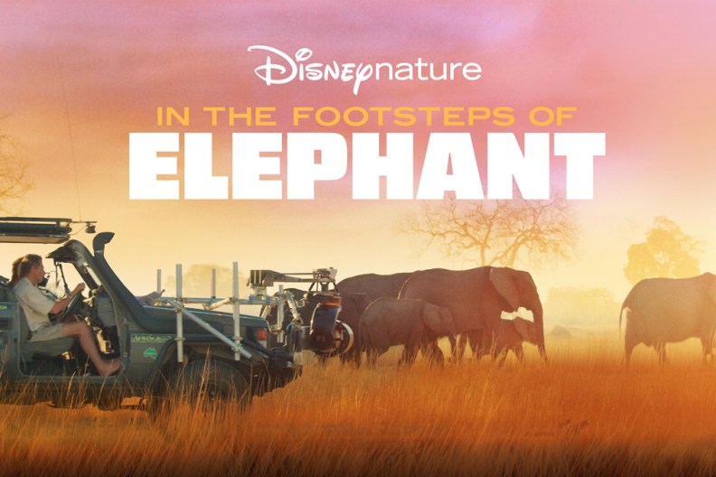 In the Footsteps of Elephant: Where to Watch & Stream Online