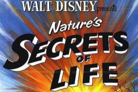 Secrets of Life: Where to Watch & Stream Online