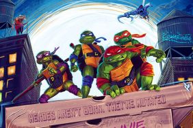 Teenage Mutant Ninja Turtles series release date