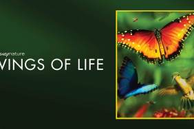Wings of Life Where to Watch and Stream Online