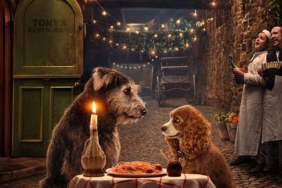 Lady and the Tramp Where to Watch and Stream Online