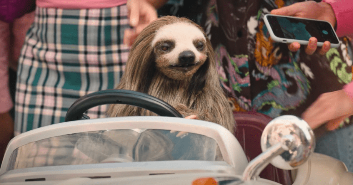 Slotherhouse Trailer for Sloth Slasher Movie Shows Nature Is the Slow Killer