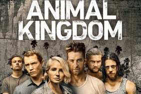 Animal Kingdom Season 1: Where to Watch & Stream Online