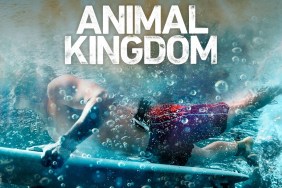 Animal Kingdom Season 2: Where to Watch & Stream Online
