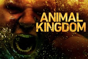 Animal Kingdom Season 3: Where to Watch and Stream Online