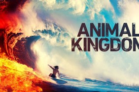 Animal Kingdom Season 4: Where to Watch and Stream Online