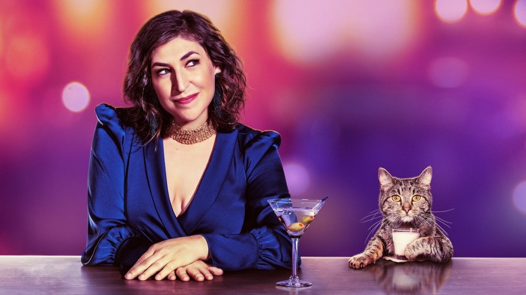 Call Me Kat Season 4 Release Date Rumors: Is It Coming Out?