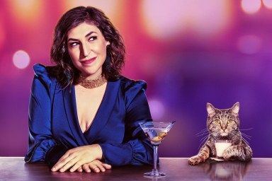 Call Me Kat Season 4 Release Date Rumors: Is It Coming Out?