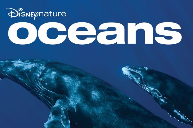Oceans: Where to Watch & Stream Online