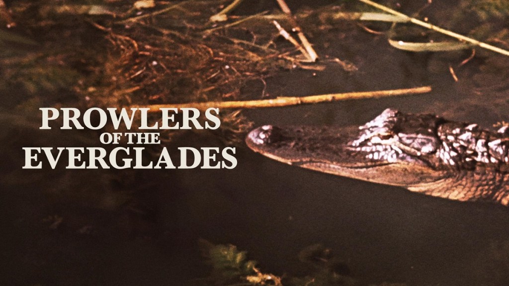 Prowlers of the Everglades: Where to Watch & Stream Online