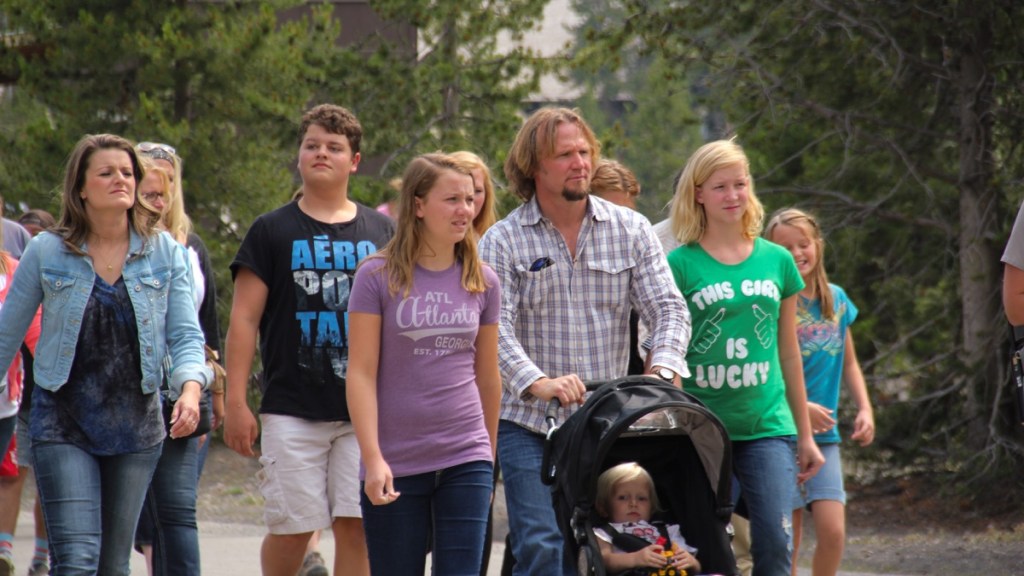 Sister Wives Season 8 Where to Watch and Stream Online