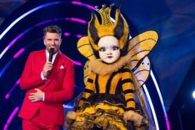 The Masked Singer Season 2: Where to Watch & Stream Online