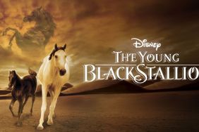 The Young Black Stallion: Where to Watch & Stream Online