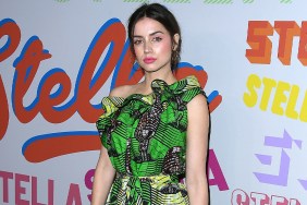 Will Ana de Armas Play Poison Ivy