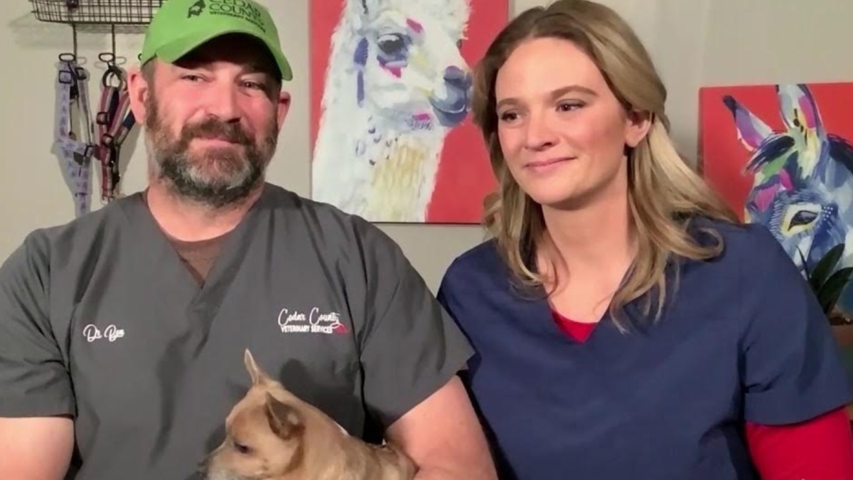 Heartland Docs, DVM Season 5 Episode 5 Release Date & Time on Disney Plus