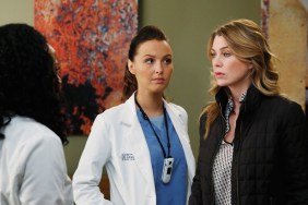 Grey's Anatomy Season 10 Streaming Where to Watch