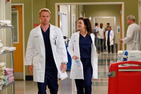 Grey's Anatomy Season 11 Streaming Where to Watch